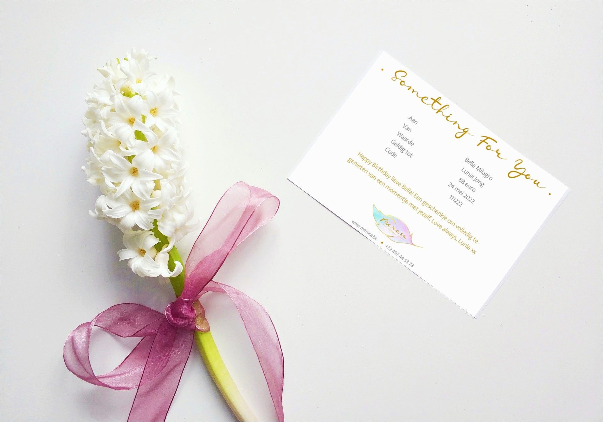 detail van zachte mooie lichtinval die op varens valt